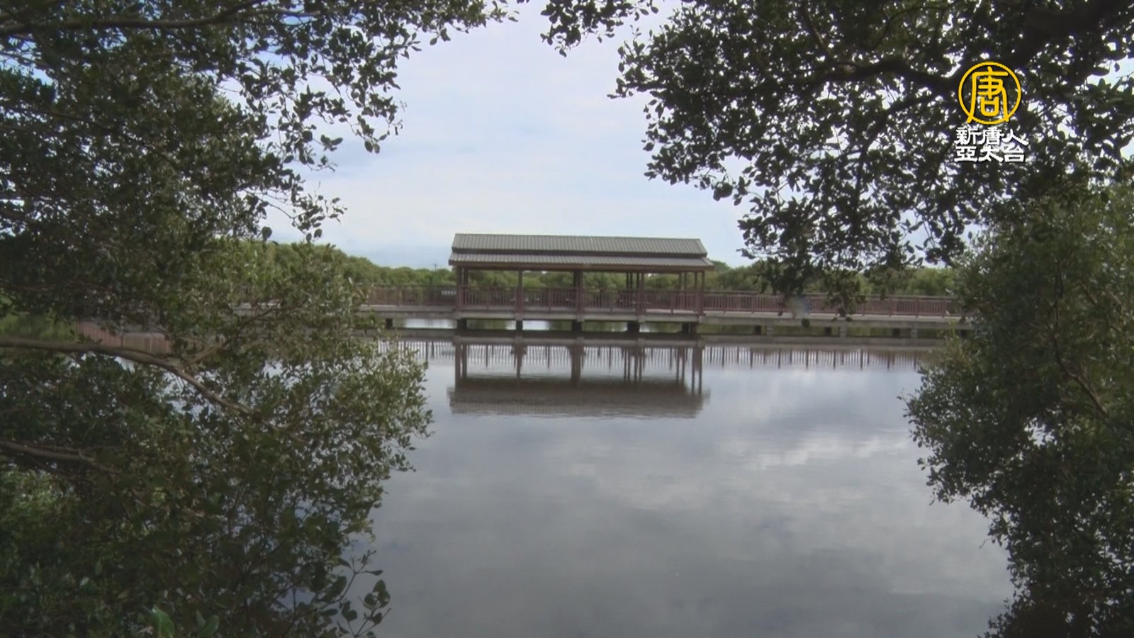 兼具環境教育與保育 鵬村濕地享受自然寧靜美