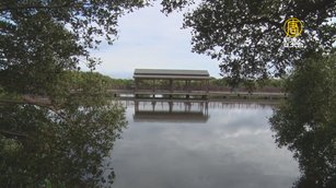 兼具環境教育與保育 鵬村濕地享受自然寧靜美