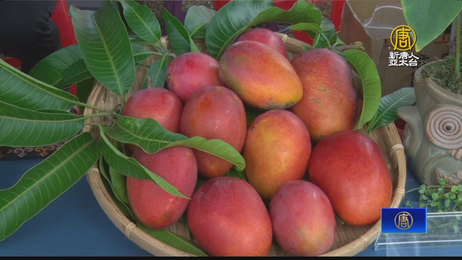 盼助部落農友 屏東獅子鄉辦好芒市集行銷農產