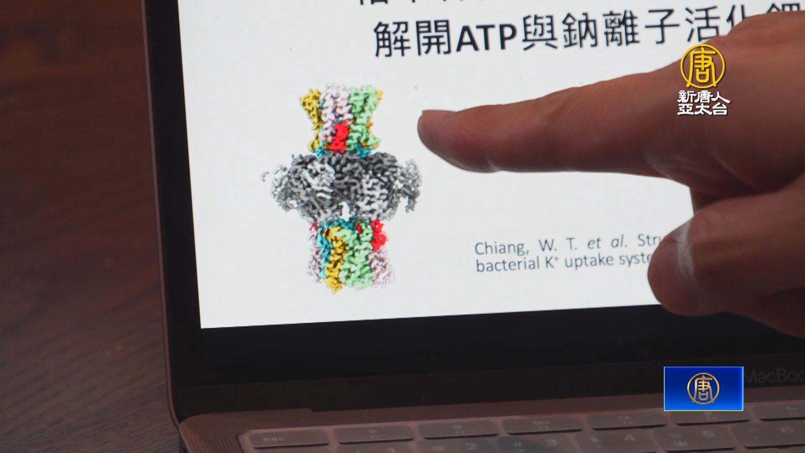 興大解析鉀離子通道蛋白結構 有助人類神經研究