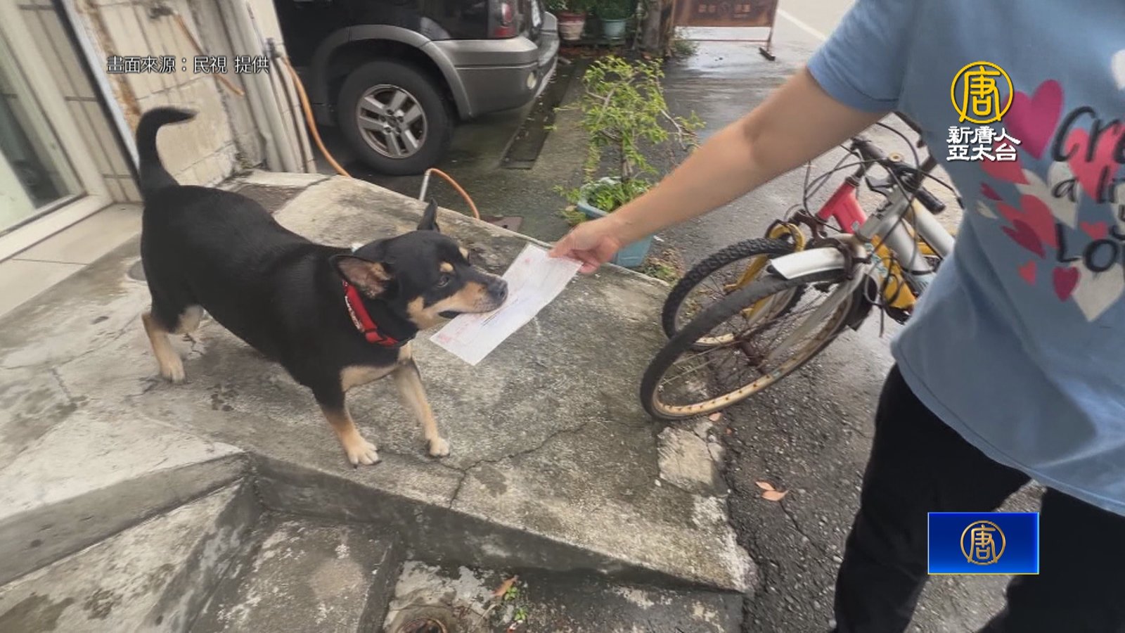 雲林靈犬搖尾「萌」 收信 幫主人忙還能換零食