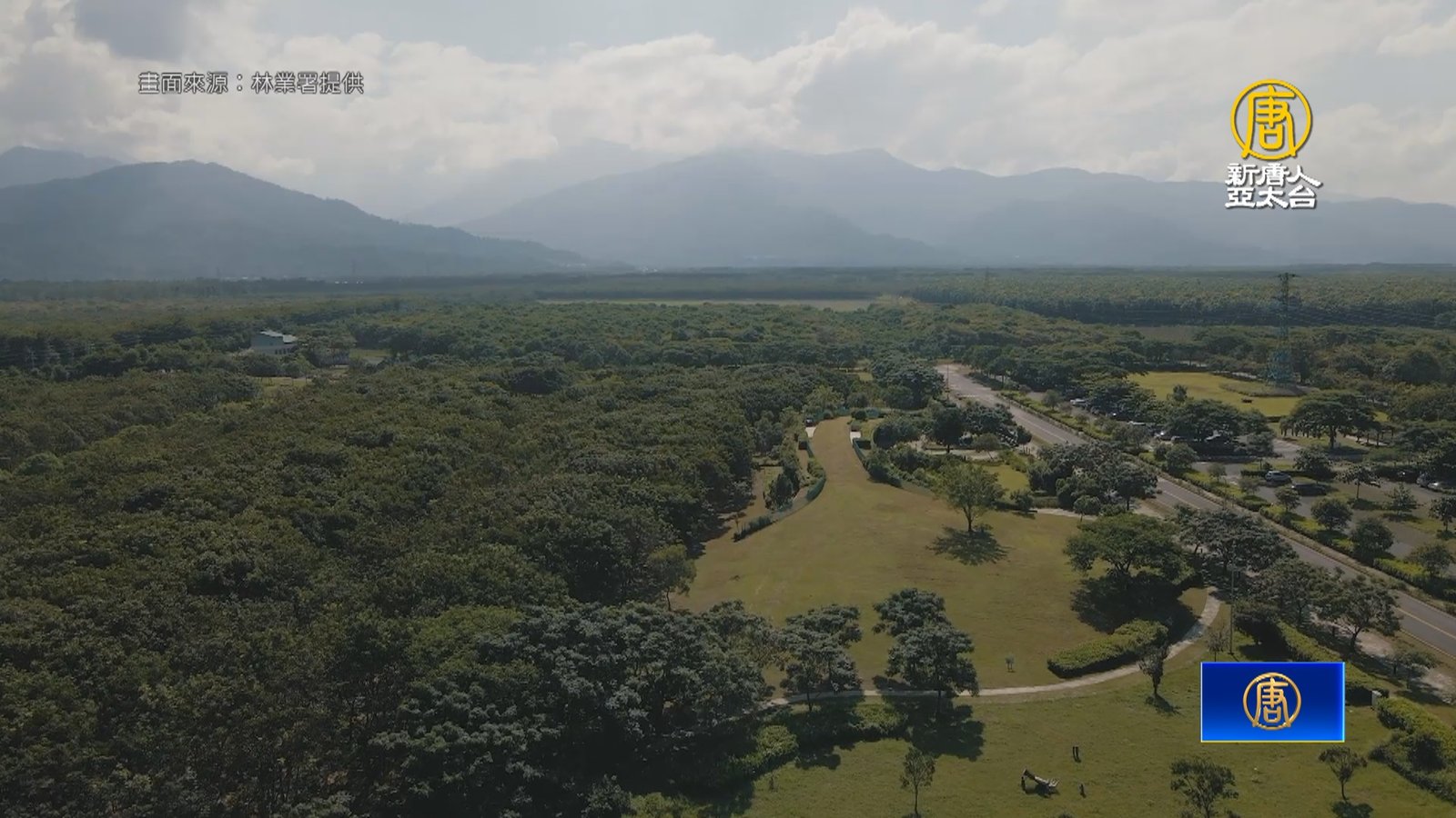 林後四林森林園區10周年慶 分享蛻變與成長