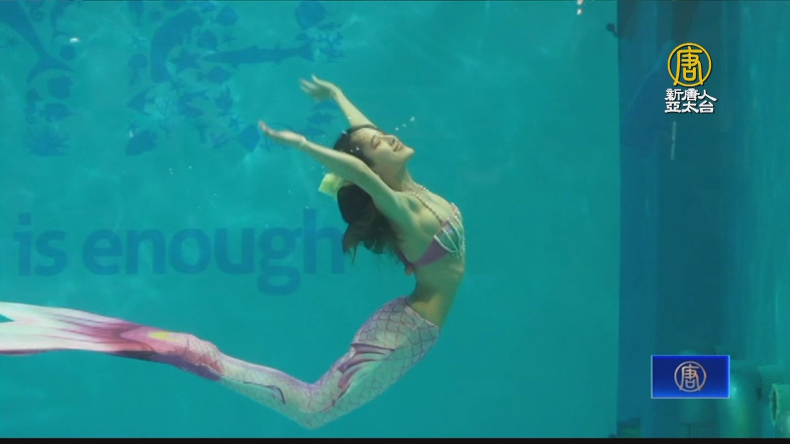 第二屆台灣人魚表演賽 基隆海科館華麗登場