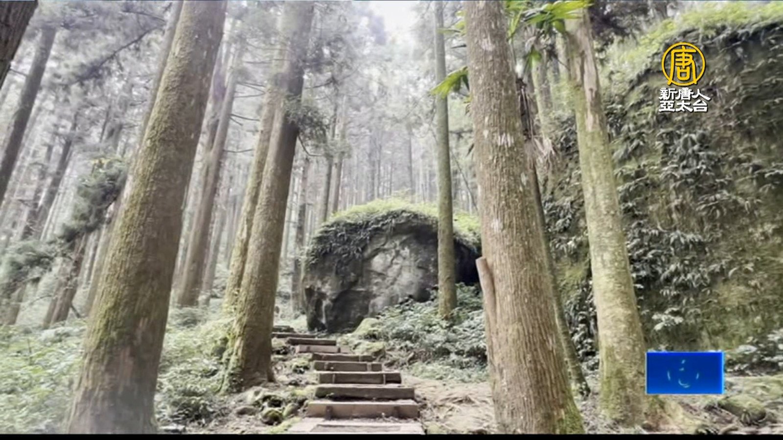 別出心裁 嘉縣步道健行首創結合馬拉松完賽