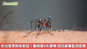 防治登革熱有新招!醫師提4大策略 抵抗病毒監控疫情(首圖來源/Freepik)