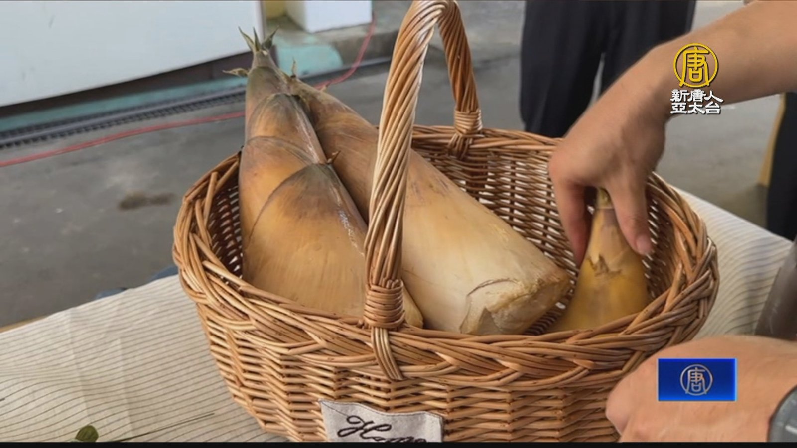 炎炎夏日竹筍盛產 彰化花筍節將登場