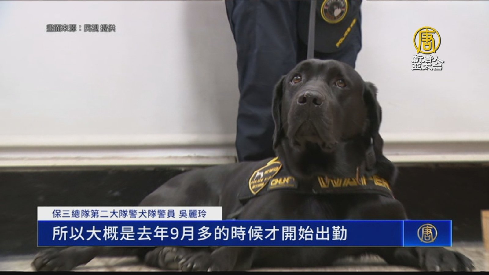 電子偵測犬「Wafer」立功 高雄警破獲博弈集團