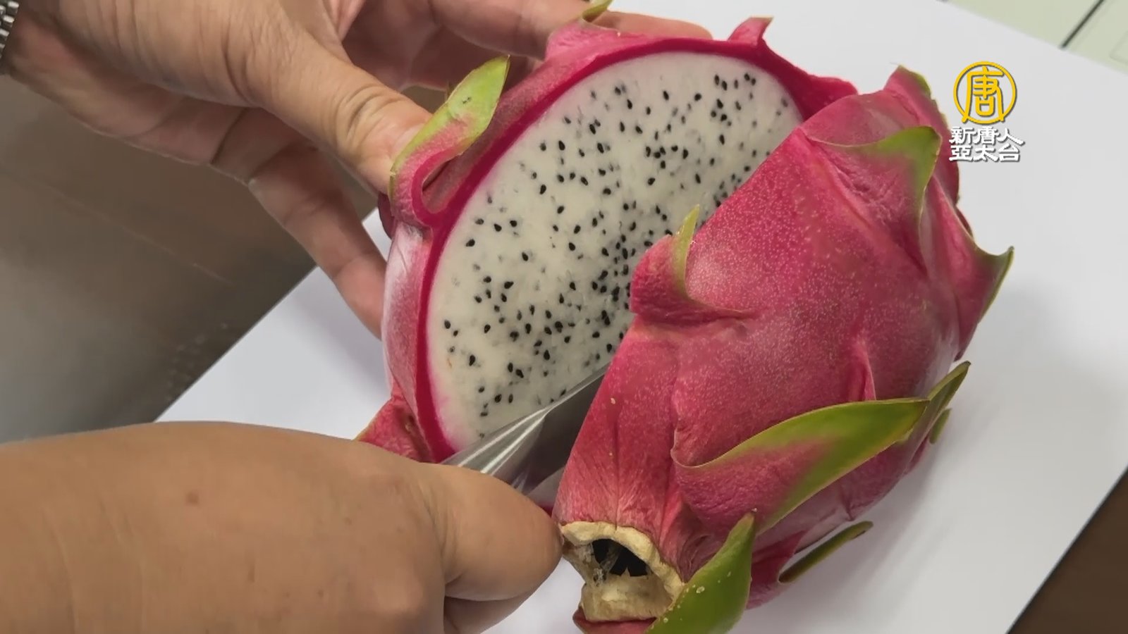 火龍果紅肉白肉如何分辨 專家:從外觀看得出來