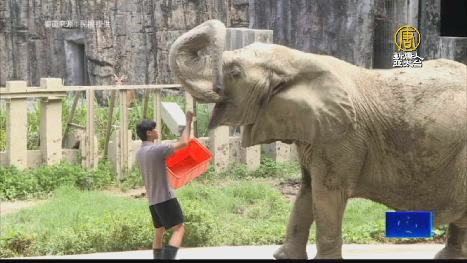 致敬保育員 壽山動物園曬15位「超級奶爸」身影