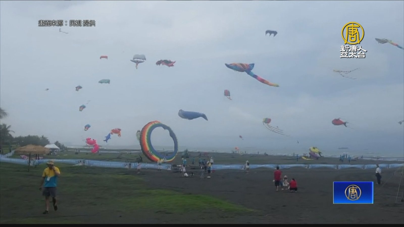 高雄旗津風箏節登場 鯨魚、章魚、螃蟹飛上天