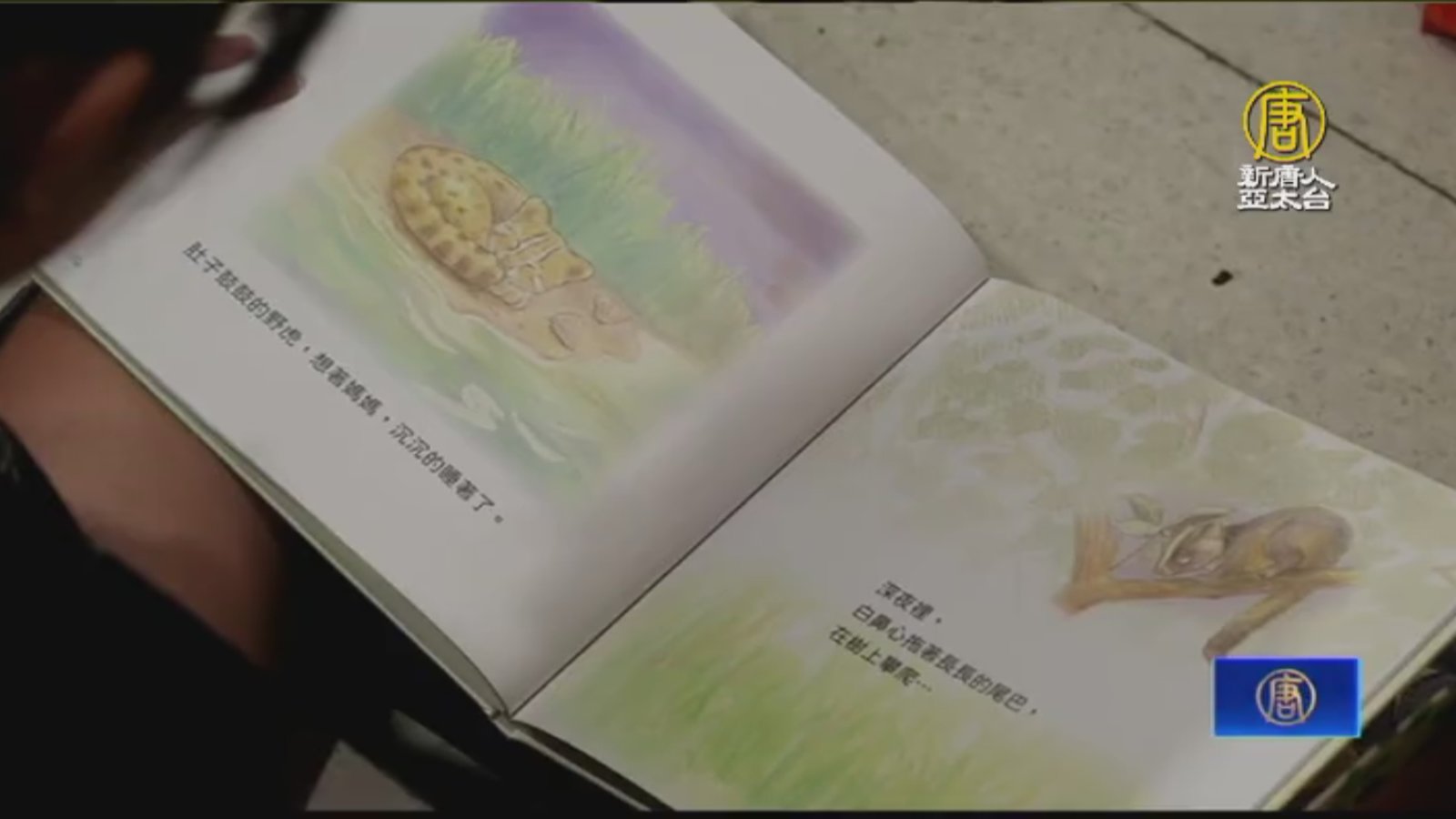 生態保育繪本發表 親子共讀石虎筏子溪冒險