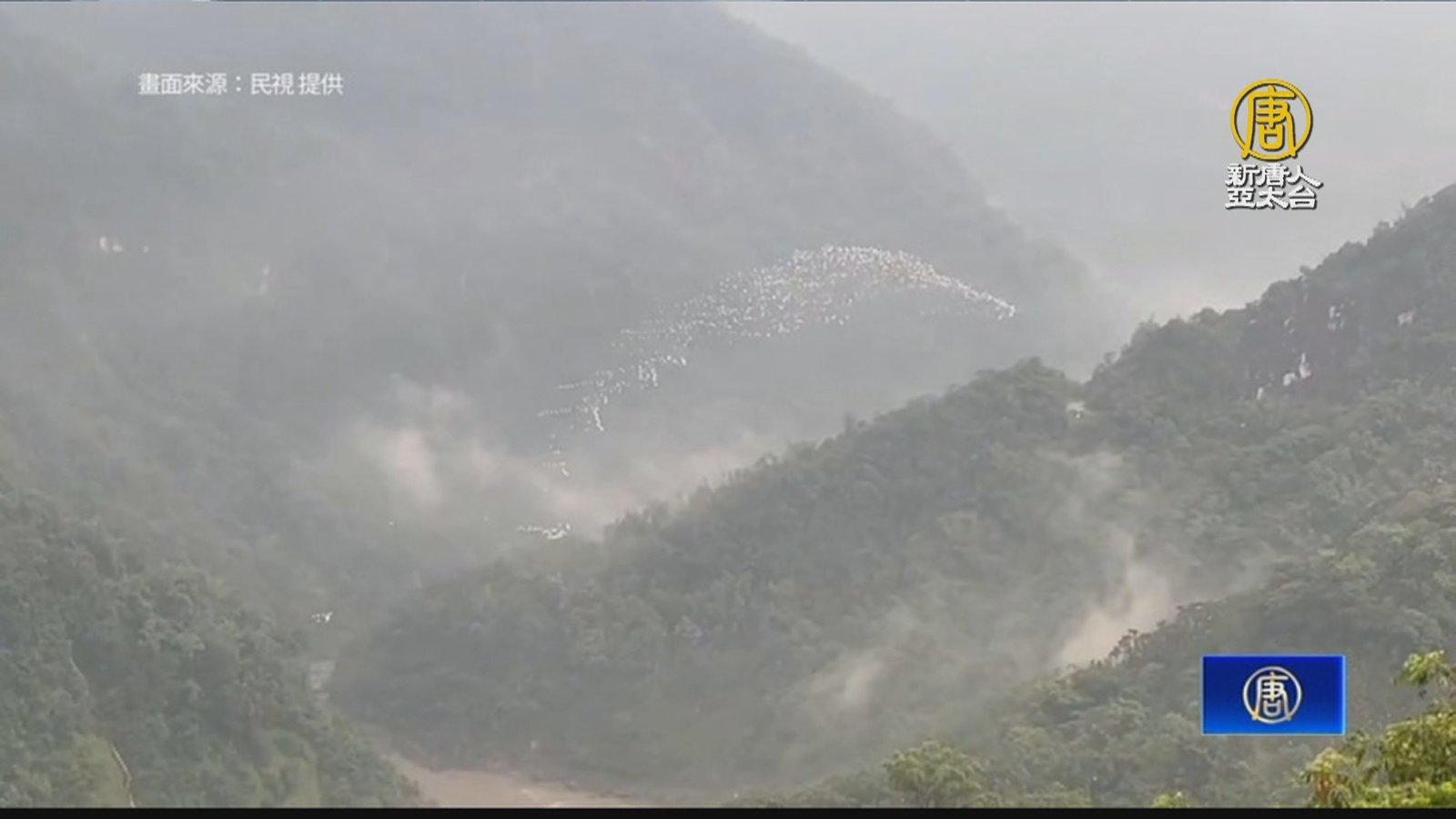 空中見「白色鳥河」 古坑黃頭鷺南遷提早報到