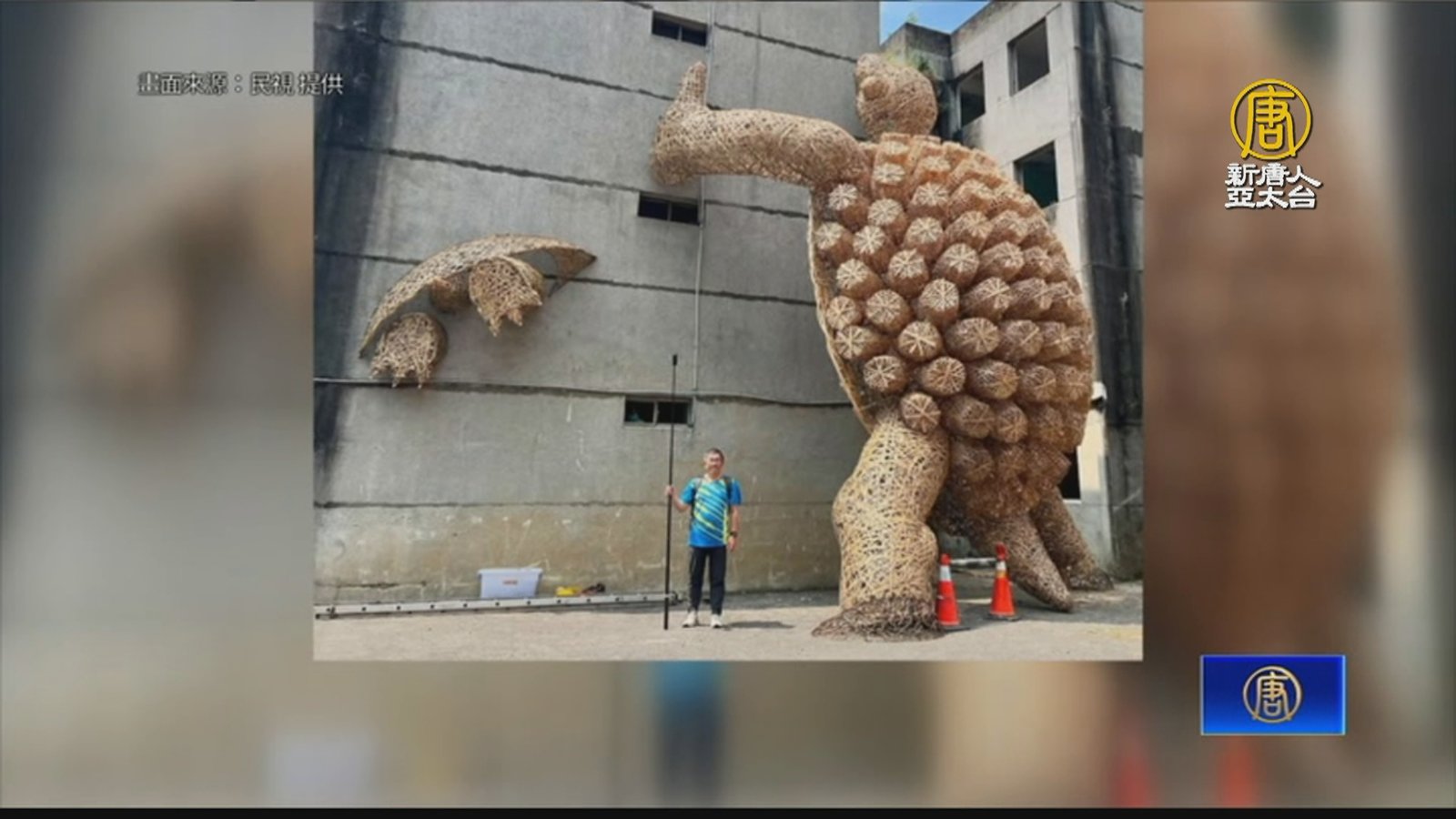 「龜吉拉」現蹤桃園憲光二村 憲兵帶路憶眷村故事