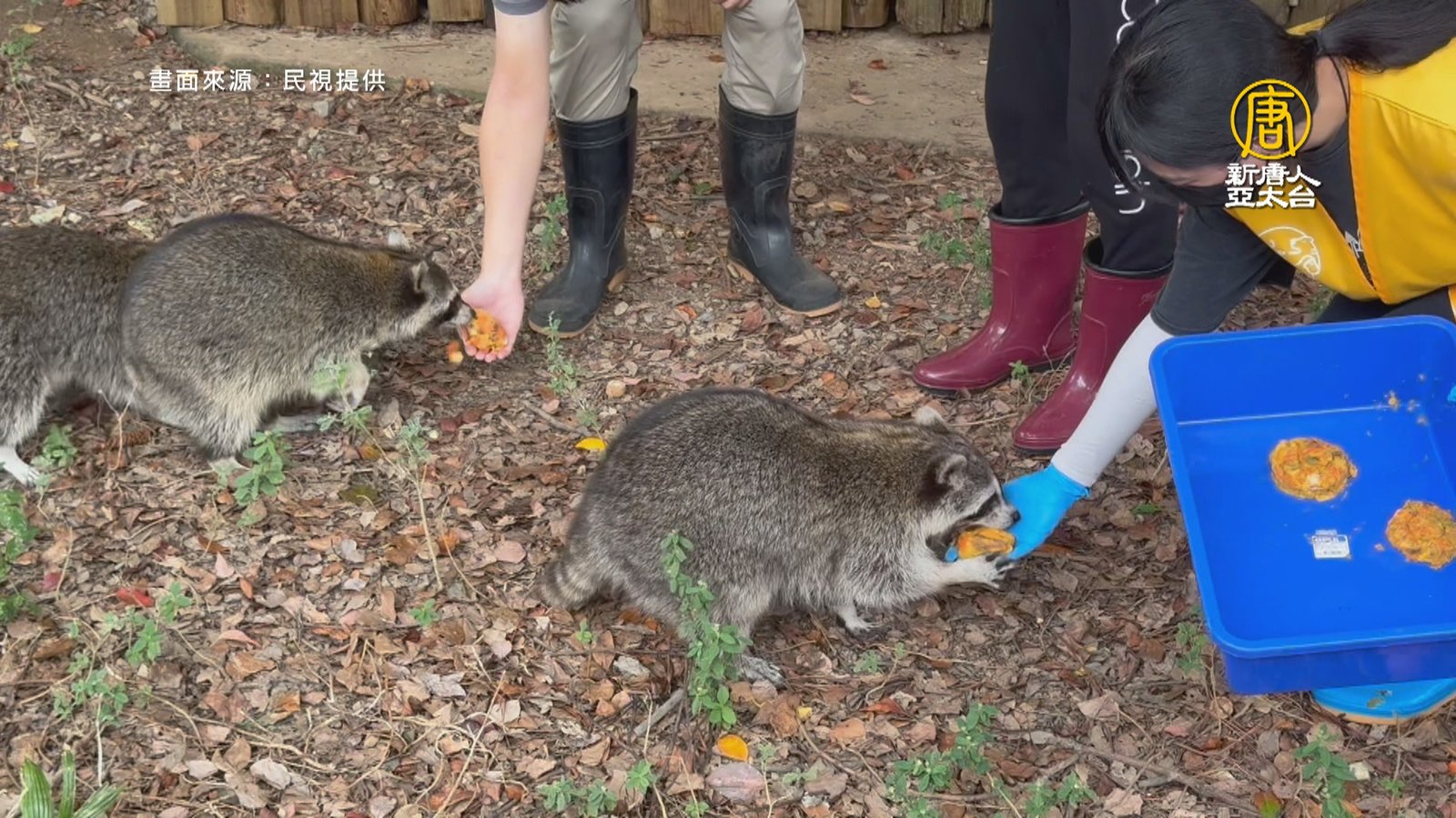 新竹動物園歡慶中秋 推特製月餅全園一起慶中秋
