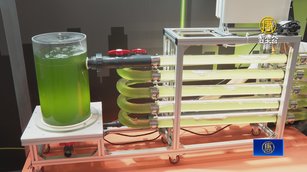 能源週登場 微藻成綠色能源.浸沒式電池儲能吸睛
