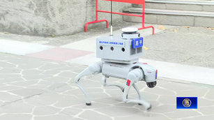 中國機器狗只是載具?學者揭多重陷阱、可載機關槍