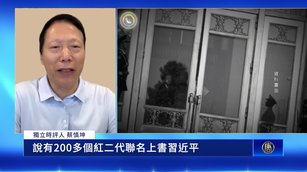 蔡慎坤曝:200紅二代聯名要求習找接班人