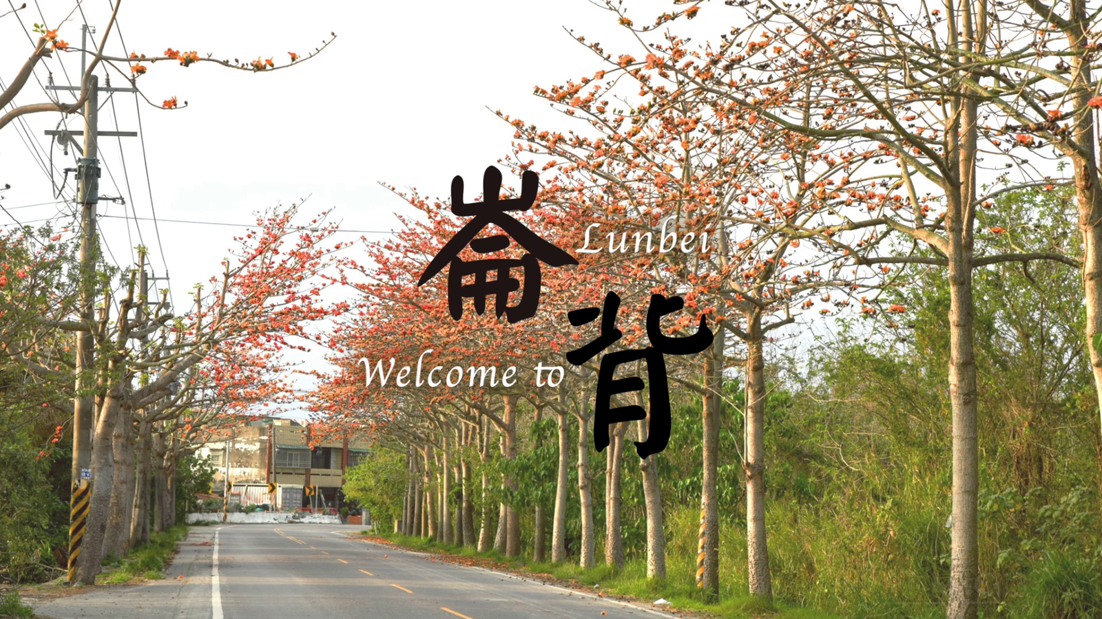 【廣告】崙背鄉公所