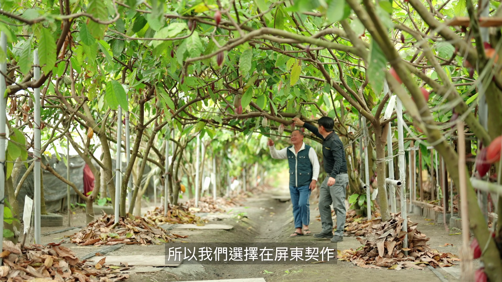 vlcsnap-2025-12-08-16h41m48s526