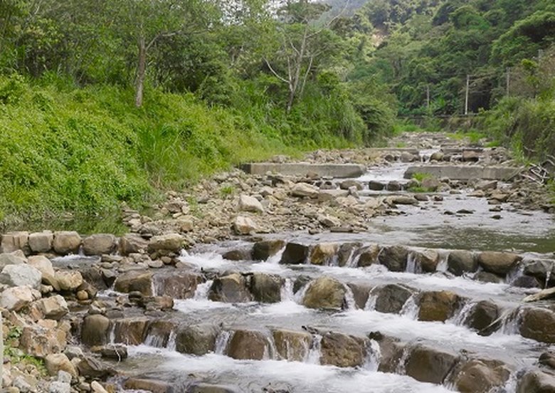早期固床工(河川水泥製條狀構造物)劣化後,可以用比較接近現代生態工程的方法(下方砌石、迂迴)讓魚類可以上溯、迴游。(林保署南投分署提供)