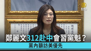 鄭麗文312赴中會習黨魁?黨內籲訪美優先