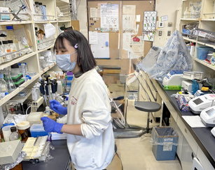 嘉義大學農藝學系助理教授林孟淳,於東京大學實驗室進行植物化感作用測試。(嘉大提供)