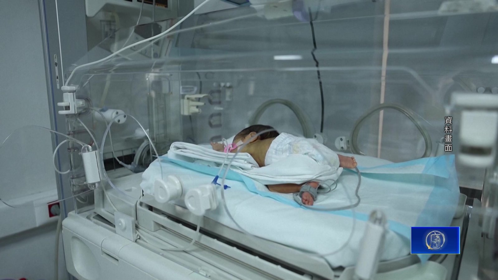 出生公民權禁令將審議 川普:不該淪中國富豪特權