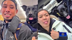 加拿大夫妻單車環台奇遇記 認養黑狗「太魯閣」