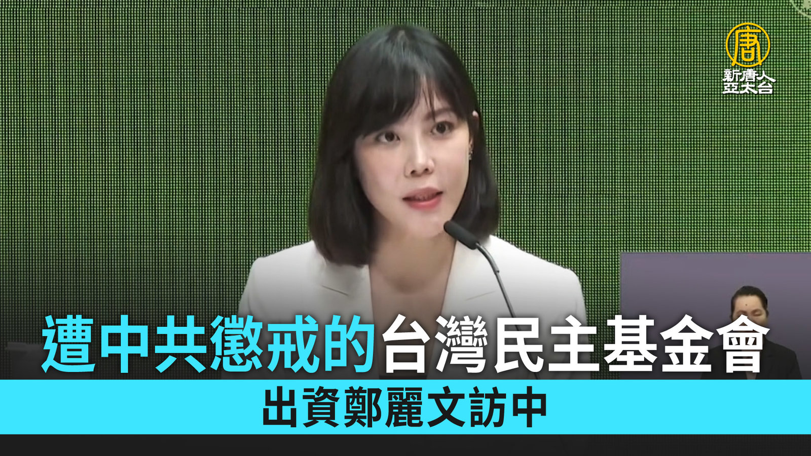 遭中共懲戒的台灣民主基金會 出資鄭麗文訪中