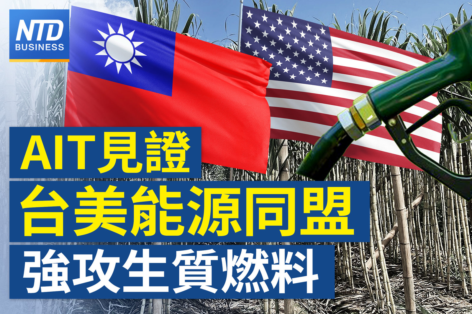 官網
