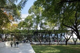 屏東總圖保留了 50 年的老樟樹林,讓透明大廳將窗外綠意與自然光線引入館內(屏東縣文化處 提供)