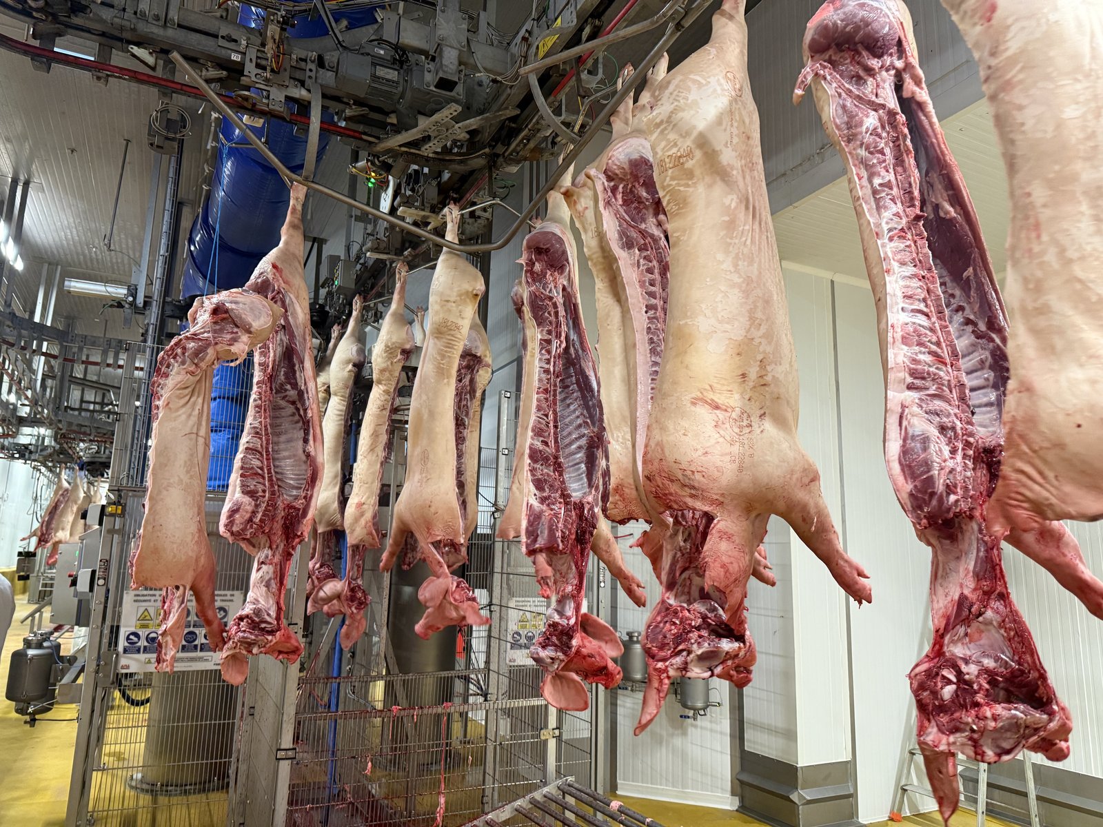 打造全國指標性肉品市場 嘉縣借鏡法國智慧化(嘉義縣政府提供)