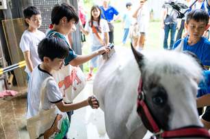 告別枯燥課本!高市攜手動物醫院推馬病體驗課程邊摸邊學。(圖/高雄市動物保護處)