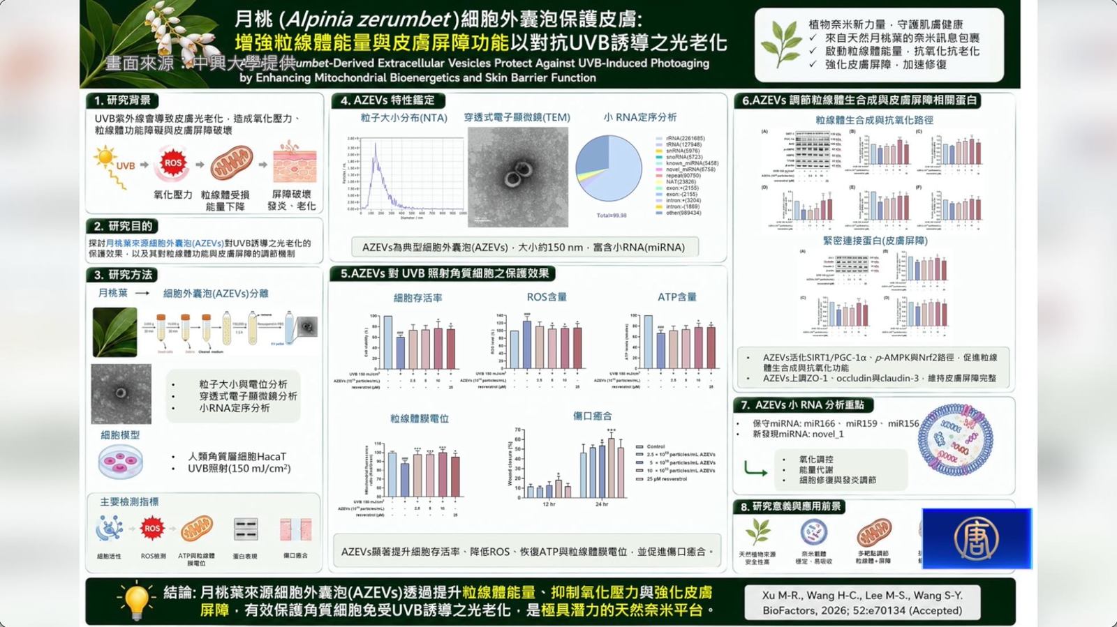 破解月桃抗老關鍵 興大團隊研究登國際期刊