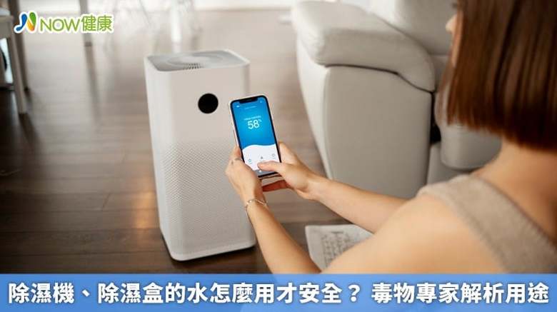 除濕機、除濕盒的水怎麼用才安全?毒物專家解析用途(首圖來源/Magnific)