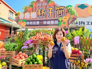 2026番路鄉柿子節熱鬧登場 六大主題展區人潮湧現(番路鄉農會提供)