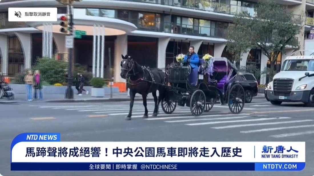 馬蹄聲將成絕響!紐約中央公園馬車將走入歷史
