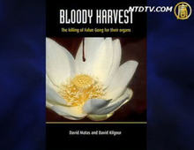 【今日點擊】中共正在搶劫人的器官