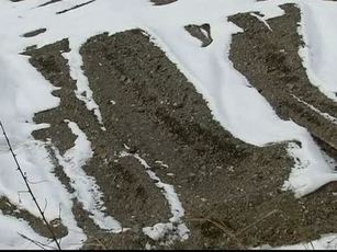 奧地利發現納粹受害者集體殘骸