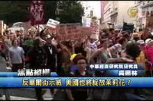 反華爾街示威 美國也將綻放茉莉花?