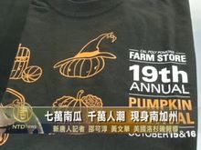 七萬南瓜 千萬人潮 現身南加州