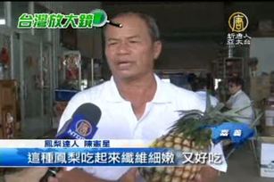 臺灣鳳梨健康管理 讓「旺來」旺旺