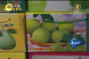 柚香柚甜 文旦柚評鑑競賽出現雙冠王