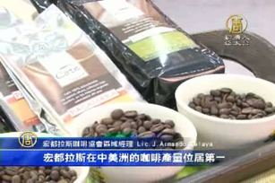 食品暨設備展 展位逾千咖啡業最熱