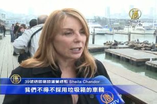 舊金山39號碼頭慶祝海獅到來25週年