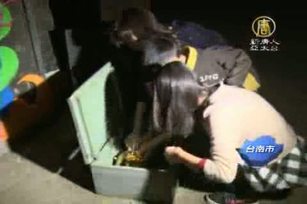 日治時代糖蜜槽 打造遊客尋寶館 