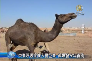 中東呼吸症候入侵亞東 菲爆發今年首例