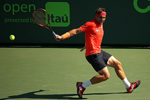 David Ferrer (Photo by Mike Ehrmann/Getty Images)