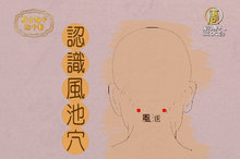 風池穴.jpg