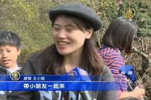 迎春有新招 剪桃枝喜氣帶回家